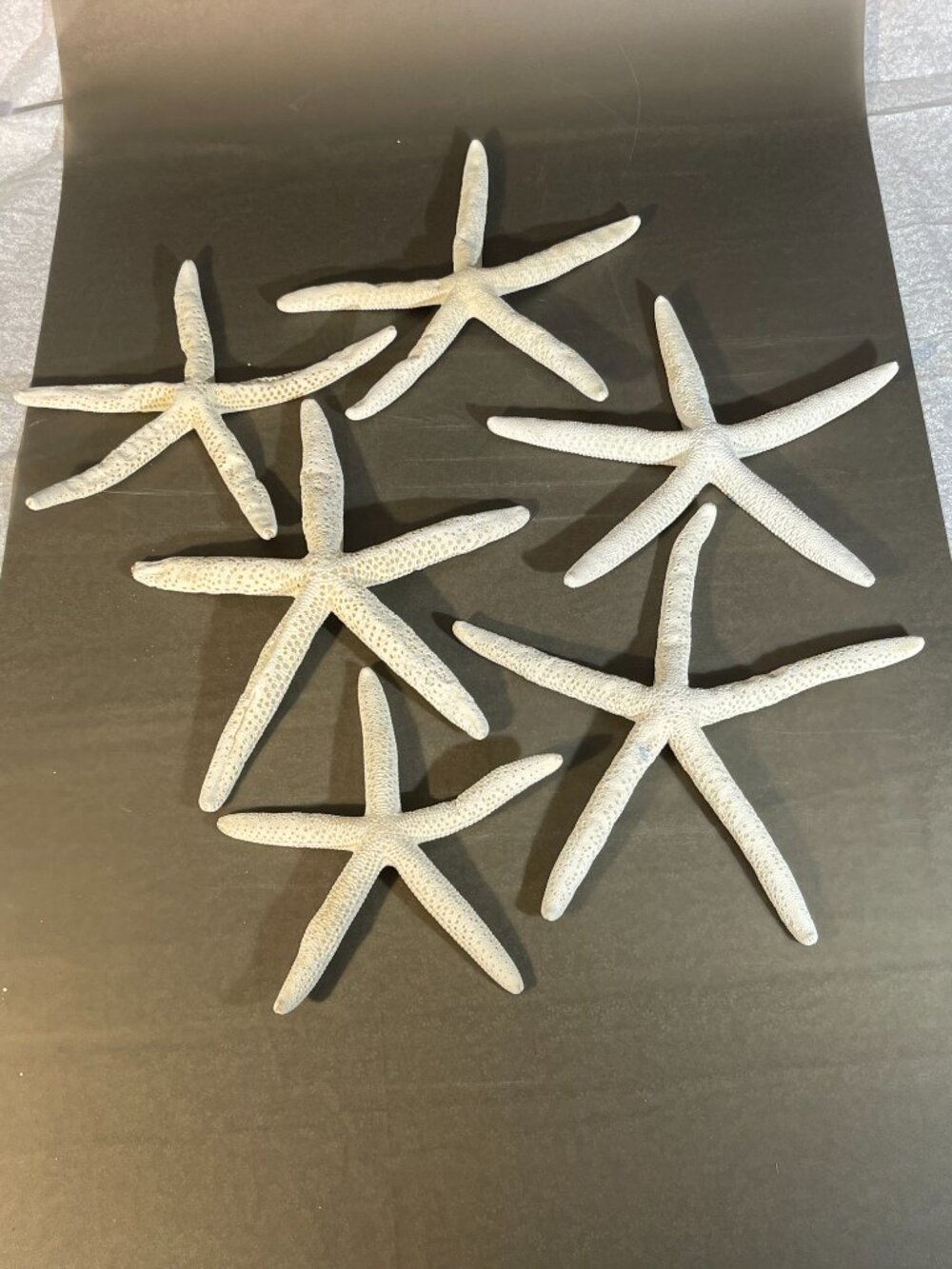 Starfish Decor - Star Fish for Craft - 6pk Real 6" White Sea Stars (1594)